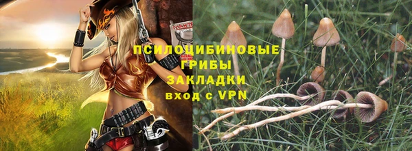 мескалин Надым