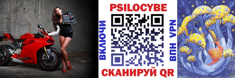 Псилоцибиновые грибы Psilocybe  Купить где  Любим 